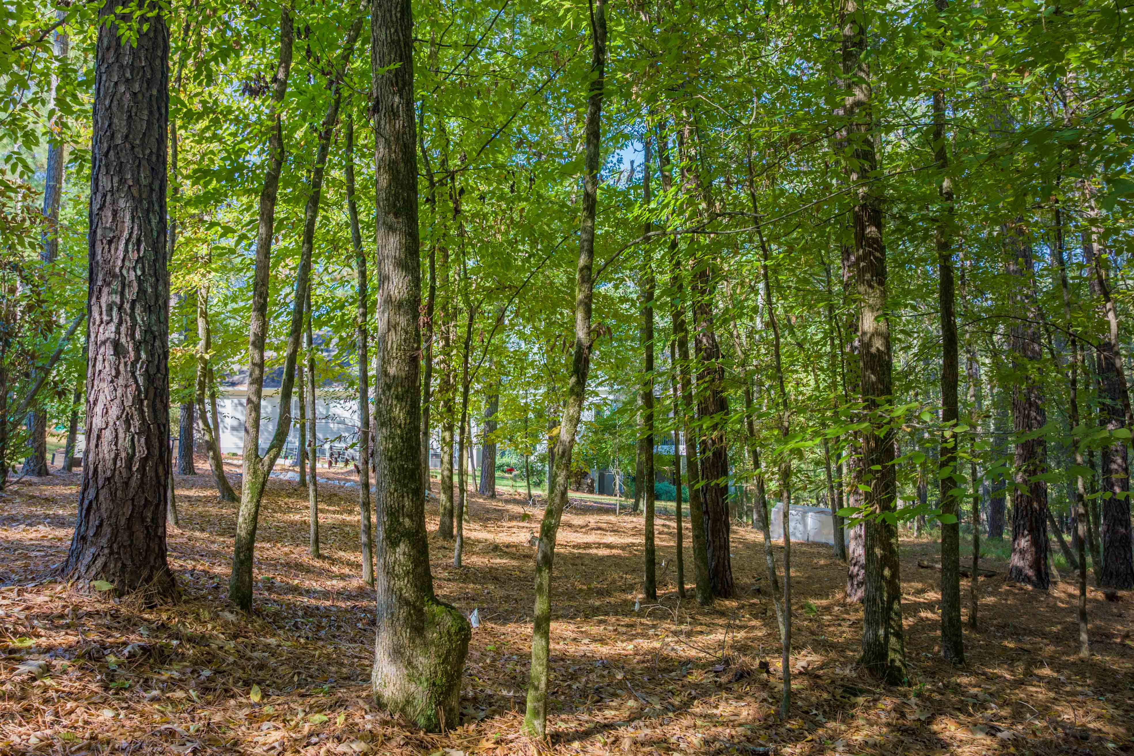 1030 Snug Harbor Court image 10